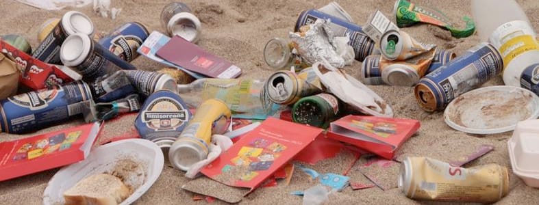 Vrijwilligers maken Nederlandse stranden schoon